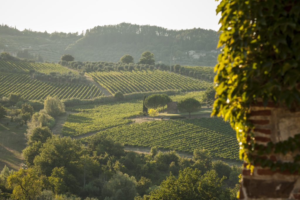 The Plus Planet si aggiudica il bando dell’Ambito Turistico del Chianti