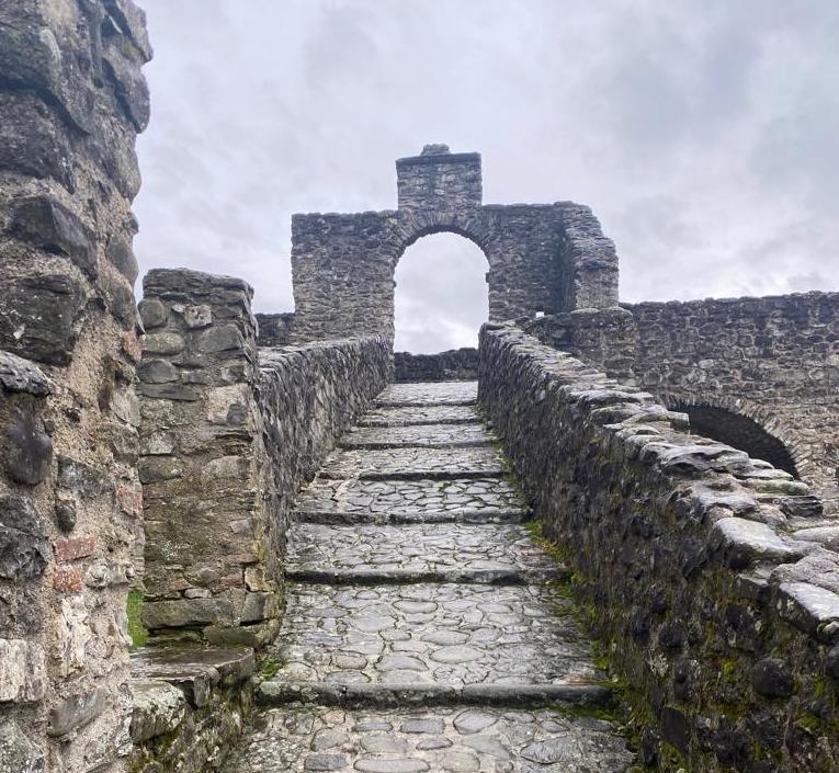 Museo delle Statue Stele Lunigianesi di Pontremoli e Palazzo Martinengo di Brescia: The Plus Planet ottiene la gestione dei servizi museali