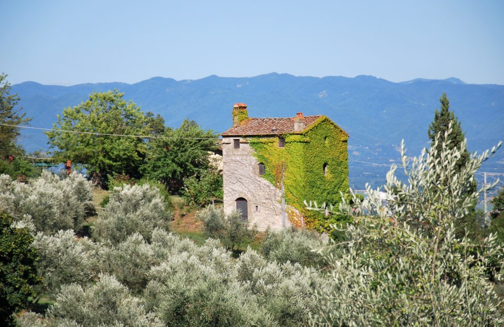 The Plus Planet si aggiudica i bandi per Ambito Turistico Mugello e Lunigiana